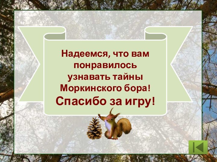 Надеемся, что вам понравилось узнавать тайны Моркинского бора! Спасибо за игру!