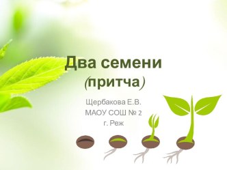 Презентация Два семени