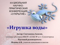 Проект Игрушка воды