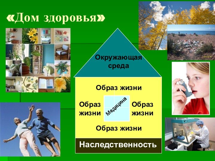 «Дом здоровья»?  НаследственностьОбраз жизниОкружающая средаОбраз жизниОбраз жизниОбраз жизниМедицина