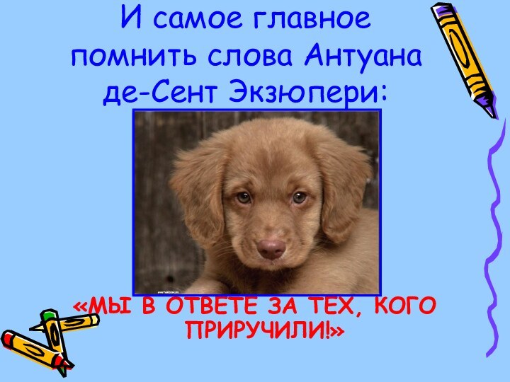 И самое главное помнить слова Антуана де-Сент Экзюпери:«МЫ В ОТВЕТЕ ЗА ТЕХ, КОГО ПРИРУЧИЛИ!»