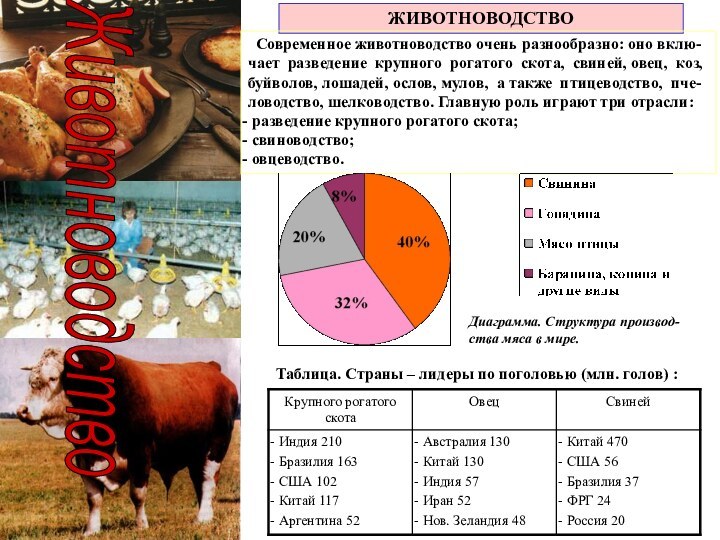 Животноводство ЖИВОТНОВОДСТВО Современное животноводство очень разнообразно: оно вклю-чает разведение крупного рогатого скота,