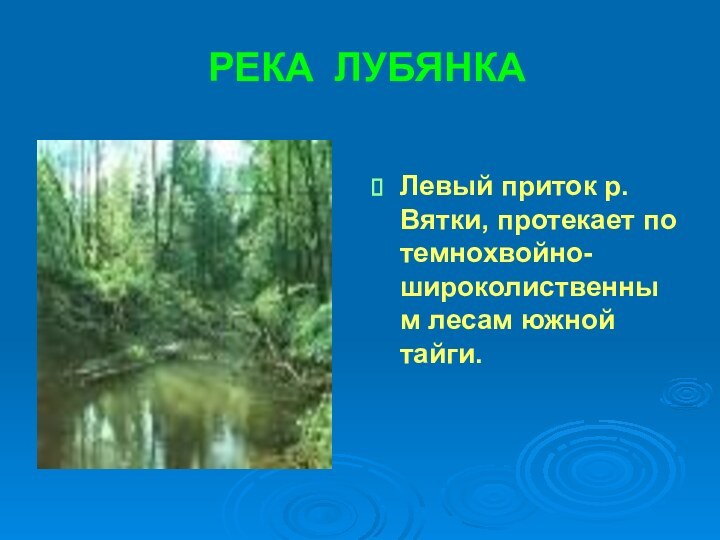 РЕКА ЛУБЯНКАЛевый приток р.Вятки, протекает по темнохвойно-широколиственным лесам южной тайги.