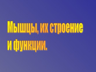 Строение и функции мышц