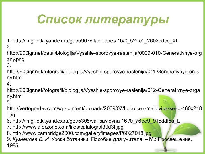 Список литературы1. http://img-fotki.yandex.ru/get/5907/vladinteres.1b/0_52dc1_2602ddcc_XL2. http:///datai/biologija/Vysshie-sporovye-rastenija/0009-010-Generativnye-organy.png3. http:///fotografii/biologija/Vysshie-sporovye-rastenija/011-Generativnye-organy.html4. http:///fotografii/biologija/Vysshie-sporovye-rastenija/012-Generativnye-organy.html5. http://vertograd-s.com/wp-content/uploads/2009/07/Lodoicea-maldivica-seed-460x218.jpg6. http://img-fotki.yandex.ru/get/5305/val-pavlovna.16f/0_76ee9_915ddf5a_L7. http://www.aferzone.com/files/catalog/bf39d3f.jpg8. http://www.cambridge2000.com/gallery/images/P6027018.jpg9. Кузнецова В.