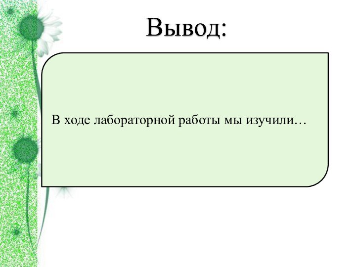 Вывод:В ходе лабораторной работы мы изучили…