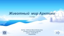 НДМ Животный  мир Арктики