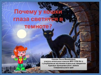 Почемучка Почему у кошки глаза светятся в темноте?