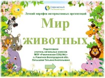 Интерактивный тренажёр Мир животных