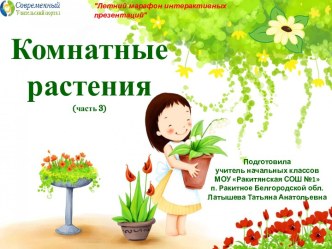 Интерактивное пособие Комнатные растения -3