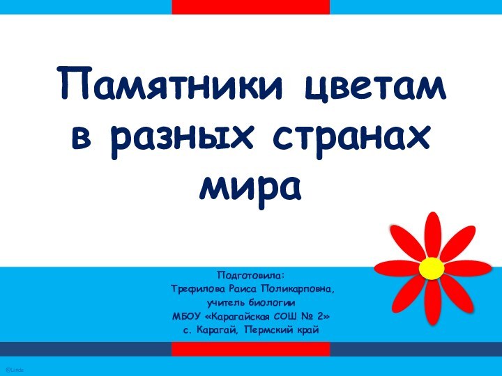 Памятники цветам в разных странах мираПодготовила:  Трефилова Раиса Поликарповна,учитель биологииМБОУ «Карагайская