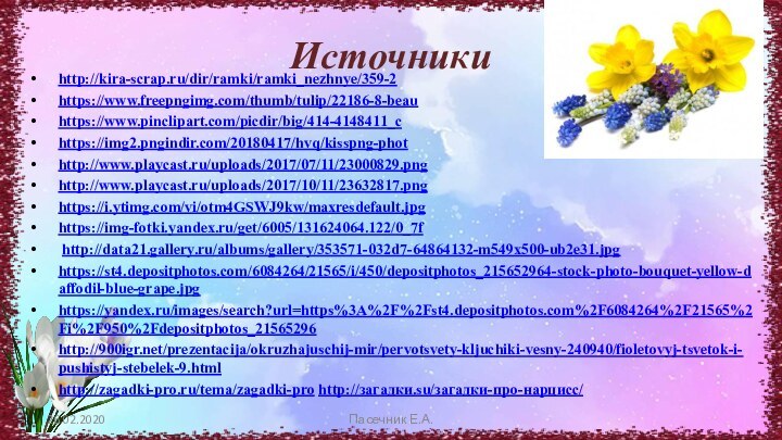 Источникиhttp://kira-scrap.ru/dir/ramki/ramki_nezhnye/359-2https://www.freepngimg.com/thumb/tulip/22186-8-beauhttps://www.pinclipart.com/picdir/big/414-4148411_chttps://img2.pngindir.com/20180417/hvq/kisspng-phothttp://www.playcast.ru/uploads/2017/07/11/23000829.pnghttp://www.playcast.ru/uploads/2017/10/11/23632817.pnghttps://i.ytimg.com/vi/otm4GSWJ9kw/maxresdefault.jpghttps://img-fotki.yandex.ru/get/6005/131624064.122/0_7f http://data21.gallery.ru/albums/gallery/353571-032d7-64864132-m549x500-ub2e31.jpghttps://st4.depositphotos.com/6084264/21565/i/450/depositphotos_215652964-stock-photo-bouquet-yellow-daffodil-blue-grape.jpghttps://yandex.ru/images/search?url=https%3A%2F%2Fst4.depositphotos.com%2F6084264%2F21565%2Fi%2F950%2Fdepositphotos_21565296http:///prezentacija/okruzhajuschij-mir/pervotsvety-kljuchiki-vesny-240940/fioletovyj-tsvetok-i-pushistyj-stebelek-9.htmlhttp://zagadki-pro.ru/tema/zagadki-pro http://загадки.su/загадки-про-нарцисс/26.02.2020Пасечник Е.А.