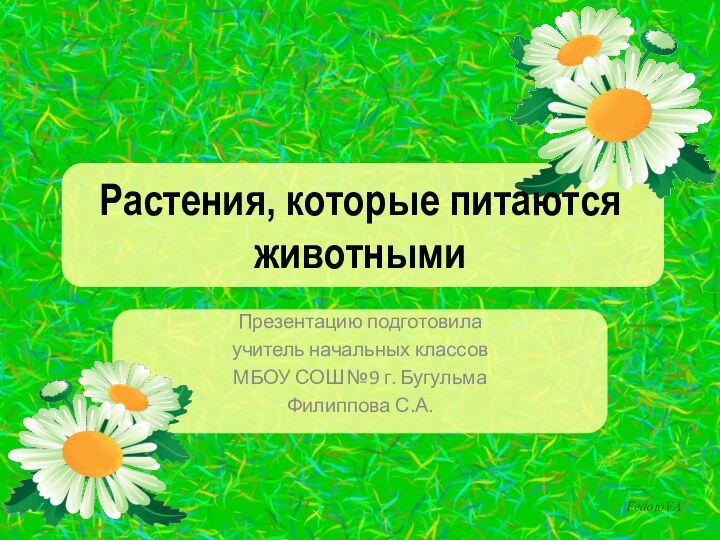 Растения, которые питаются животнымиПрезентацию подготовила учитель начальных классовМБОУ СОШ №9 г. Бугульма Филиппова С.А.