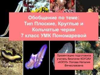 Обобщение. Тип Плоские, Тип Круглые и Тип Кольчатые черви