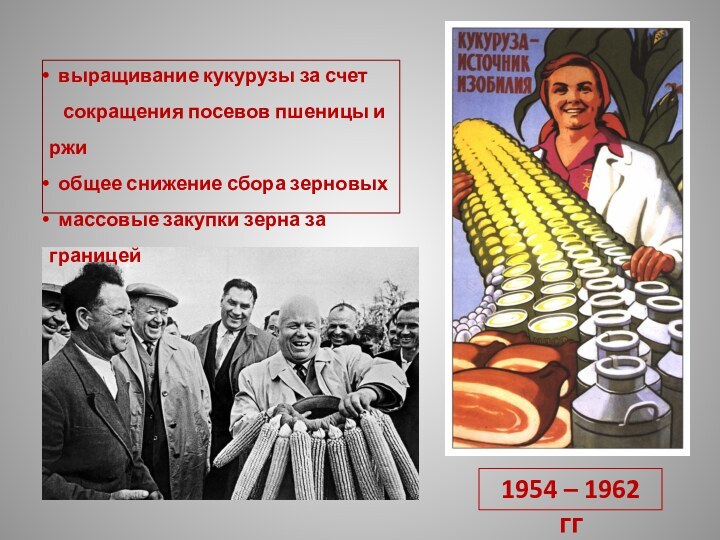 1954 – 1962 гг выращивание кукурузы за счет  сокращения посевов пшеницы