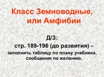 Презентация по теме Класс Земноводные, или Амфибии