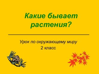 Презентация к уроку Какие бывают растения?, 2 класс