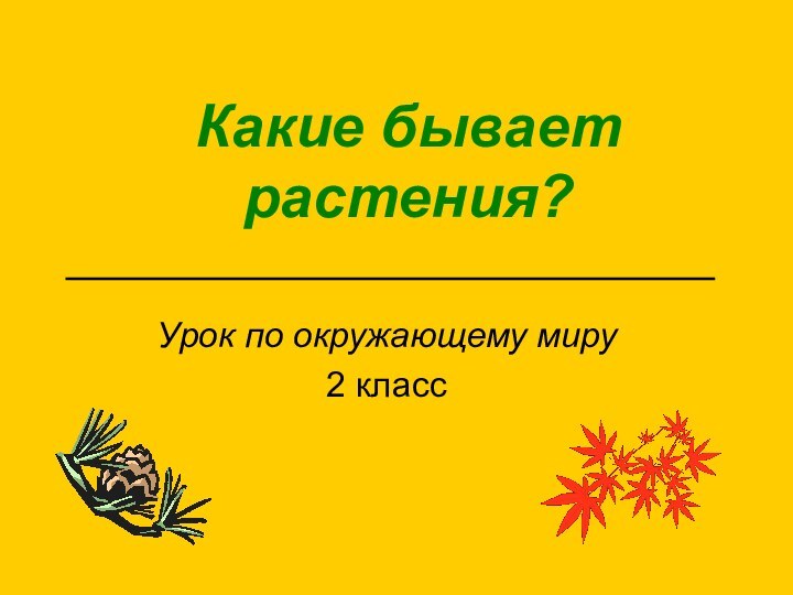 Какие бывает растения?Урок по окружающему миру 2 класс