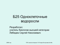 Презентация Одноклеточные зелёные водоросли