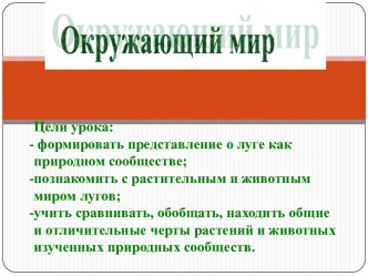 Презентация Природное сообщество - луг