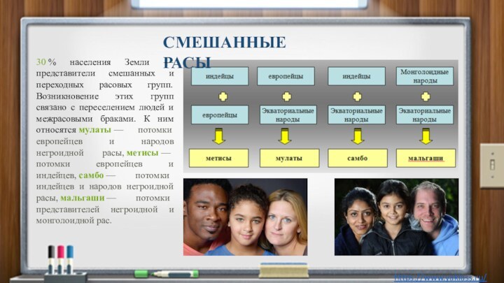 СМЕШАННЫЕ РАСЫ30 % населения Земли — представители смешанных и переходных расовых групп. Возникновение