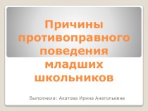 Презентация Причины противоправного поведения младших школьников