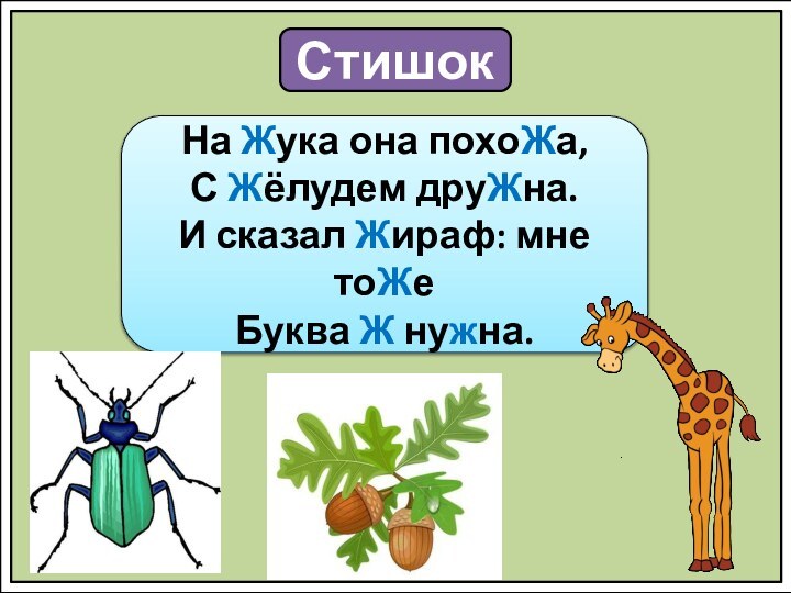 СтишокНа Жука она похоЖа,С Жёлудем друЖна.И сказал Жираф: мне тоЖеБуква Ж нужна.