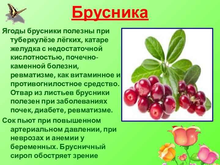 Во брусника пусть будет все как есть. Брусничный лист при болезни почек. Брусника полезна для почек. Лист брусники при болезни почек. Брусника ягоды при заболевании почек.