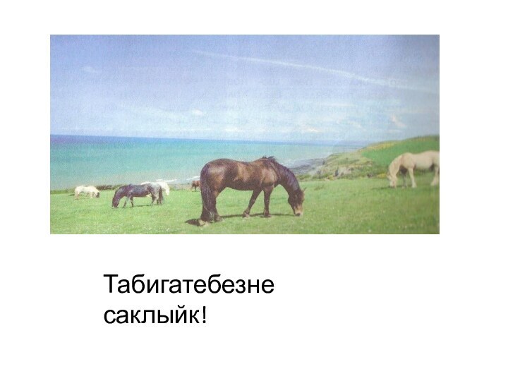 Табигатебезне саклыйк!