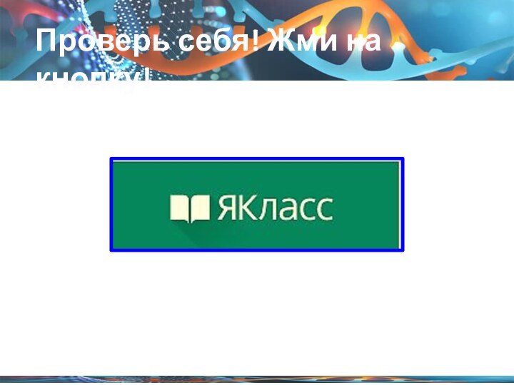 Проверь себя! Жми на кнопку!