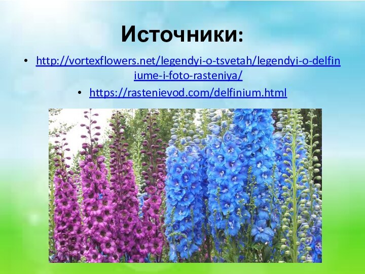 Источники:http://vortexflowers.net/legendyi-o-tsvetah/legendyi-o-delfiniume-i-foto-rasteniya/https://rastenievod.com/delfinium.html