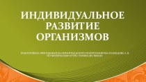 Презентация Индивидуальное развитие организмов