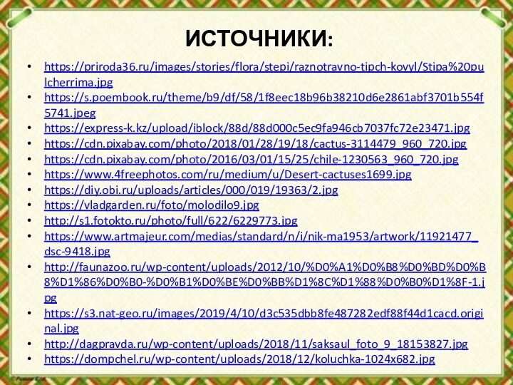 ИСТОЧНИКИ:https://priroda36.ru/images/stories/flora/stepi/raznotravno-tipch-kovyl/Stipa%20pulcherrima.jpghttps://s.poembook.ru/theme/b9/df/58/1f8eec18b96b38210d6e2861abf3701b554f5741.jpeghttps://express-k.kz/upload/iblock/88d/88d000c5ec9fa946cb7037fc72e23471.jpghttps://cdn.pixabay.com/photo/2018/01/28/19/18/cactus-3114479_960_720.jpghttps://cdn.pixabay.com/photo/2016/03/01/15/25/chile-1230563_960_720.jpghttps://www.4freephotos.com/ru/medium/u/Desert-cactuses1699.jpghttps://diy.obi.ru/uploads/articles/000/019/19363/2.jpghttps://vladgarden.ru/foto/molodilo9.jpghttp://s1.fotokto.ru/photo/full/622/6229773.jpghttps://www.artmajeur.com/medias/standard/n/i/nik-ma1953/artwork/11921477_dsc-9418.jpghttp://faunazoo.ru/wp-content/uploads/2012/10/%D0%A1%D0%B8%D0%BD%D0%B8%D1%86%D0%B0-%D0%B1%D0%BE%D0%BB%D1%8C%D1%88%D0%B0%D1%8F-1.jpghttps://s3.nat-geo.ru/images/2019/4/10/d3c535dbb8fe487282edf88f44d1cacd.original.jpghttp://dagpravda.ru/wp-content/uploads/2018/11/saksaul_foto_9_18153827.jpghttps://dompchel.ru/wp-content/uploads/2018/12/koluchka-1024x682.jpg