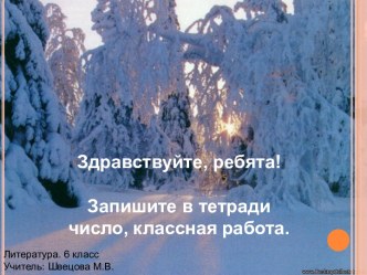 Родная природа в стихотворениях русских поэтов XX века.