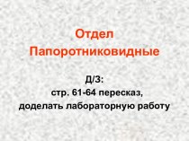 Презентация по теме Отдел Папоротниковидные