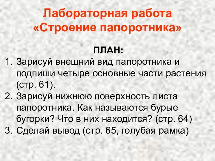 Лабораторная работа «Строение папоротника»ПЛАН:Зарисуй внешний вид папоротника и подпиши четыре основные части