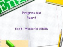 Итоговый тест по пятому разделу для 6 класса Progress Test Unit 5 - Wonderful Wildlife