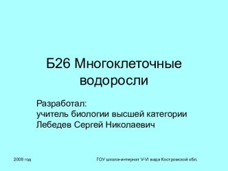 Презентация Многоклеточные водоросли