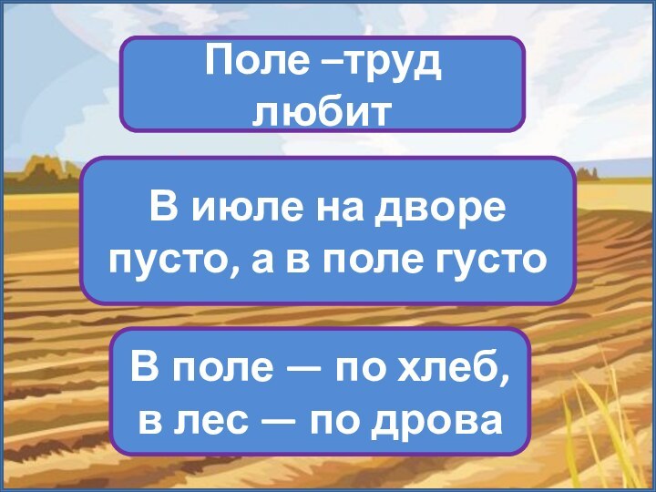 Поле –труд любитВ июле на дворе пусто, а в поле густоВ поле