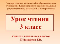 Презентация по чтению Котята Н.М. Павлова, 3 класс
