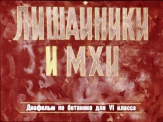 Презентация Лишайники и мхи