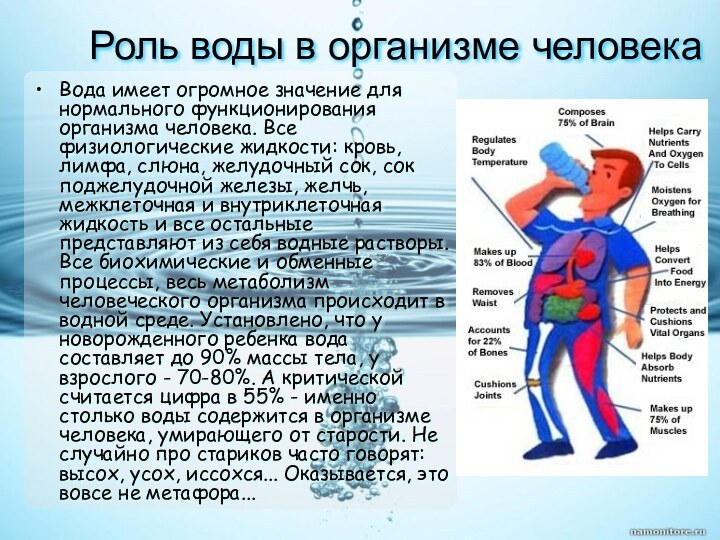 Роль воды в организме человекаВода имеет огромное значение для нормального функционирования организма