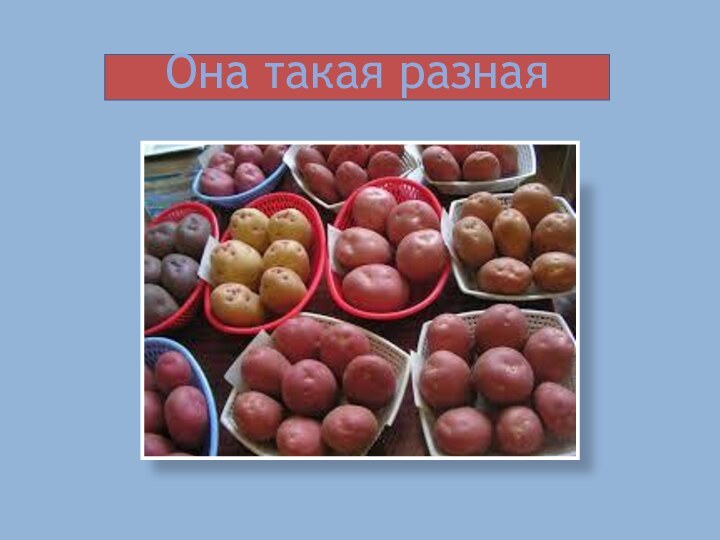 Она такая разная