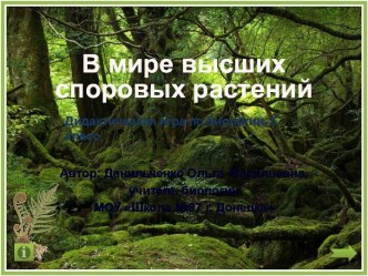 Презентация к уроку обобщения знаний по теме Высшие споровые растения