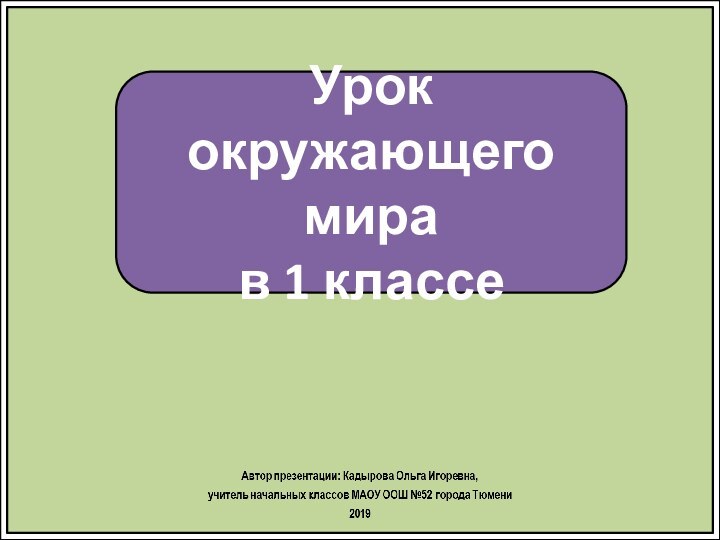 Урок окружающего мира в 1 классе