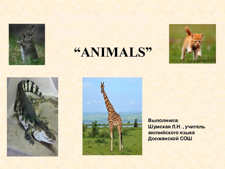 “ANIMALS”Презентация по теме Выполнила:Шумская Л.Н. , учитель английского языка Должанской СОШ