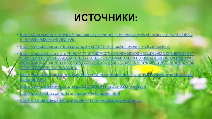 ИСТОЧНИКИ:https://zen.yandex.ru/media/floraifauna/v-chem-otlichie-tenevynoslivyh-rastenii-ot-svetoliubivyh--59a849f948c85e3f263fe39chttps://vseobiology.ru/fiziologiya-rastenij/1642-16-znachenie-sveta-v-zhizni-rastenijhttps://educontest.net/ru/449674/%D0%B0%D0%B1%D0%B8%D0%BE%D1%82%D0%B8%D1%87%D0%B5%D1%81%D0%BA%D0%B8%D0%B5-%D1%84%D0%B0%D0%BA%D1%82%D0%BE%D1%80%D1%8B-%D1%81%D1%80%D0%B5%D0%B4%D1%8B-%D0%B8-%D0%B8%D1%85-%D0%B2%D0%BB%D0%B8%D1%8F%D0%BD/http:///biologija-6-klass/Rastenija-po-otnosheniju-k-svetu/007-V-berezovom-lesu-vsegda-svetlo.htmlhttps://www.meteovesti.ru/news/63670811941-rastut-bulki-derevyahhttp://proklumbu.com/otkrutui-grunt/teneljubivie.htmlhttps://handmade-garden.ru/tsvetnik/1336-svetolyubivye-rasteniya