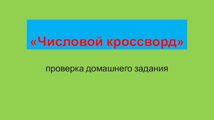 «Числовой кроссворд»проверка домашнего задания