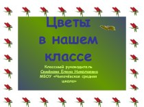 Презентация Цветы в нашем классе