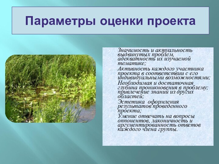 Значимость и актуальность выдвинутых проблем, адекватность их изучаемой тематике; Активность каждого участника